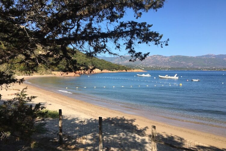 Mini-villa 6 pers. à Porto-Vecchio, vue golfe - Photo 14