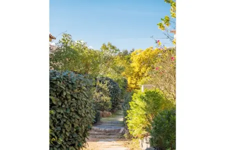 Mini-villa 6 pers. à 350m de la plage Santa Giulia : photo 3