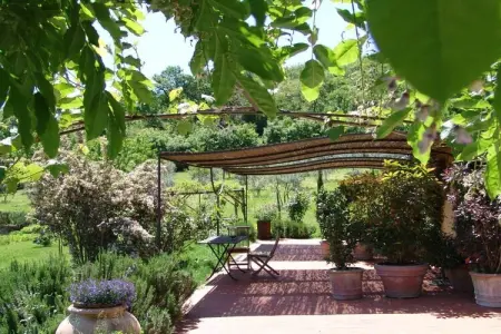 Maison Ripa d'Elce, ancienne ferme en terre d'Orvieto : photo 2