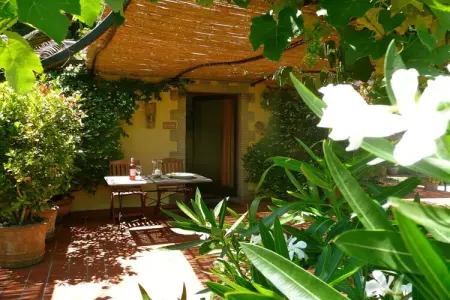 Maison Ripa d'Elce, ancienne ferme en terre d'Orvieto : photo 7