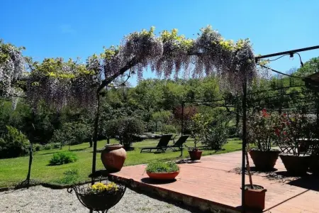 Maison Ripa d'Elce, ancienne ferme en terre d'Orvieto : photo 8