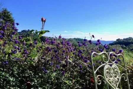Maison Ripa d'Elce, ancienne ferme en terre d'Orvieto : photo 9