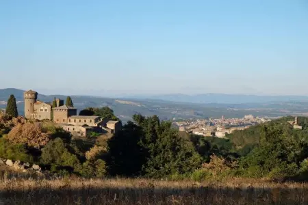 Maison Ripa d'Elce, ancienne ferme en terre d'Orvieto : photo 29