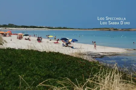 Maison Ferreri à Specchiolla, jardin clos à 350m de la plage : photo 22