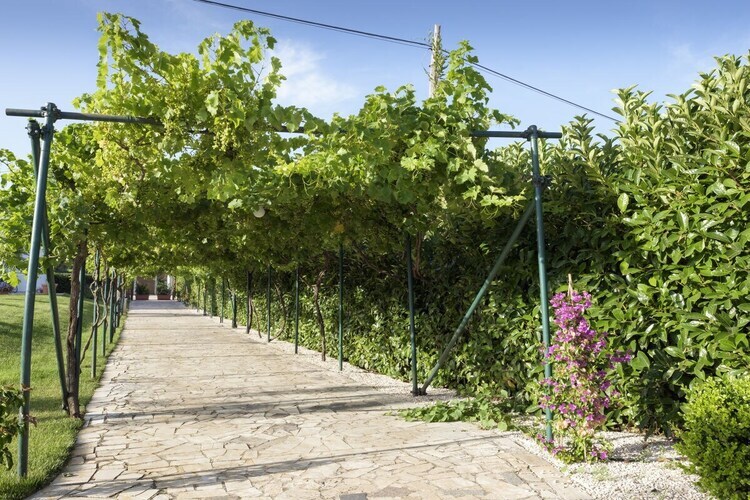 Casa Connie : maison vue mer à San Vito dei Normanni - Photo 12