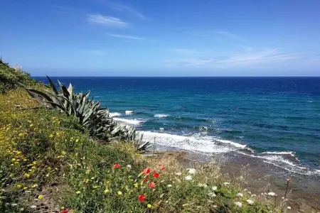 Maison Domenico en falaise à Porto Alabe, vue mer : photo 15