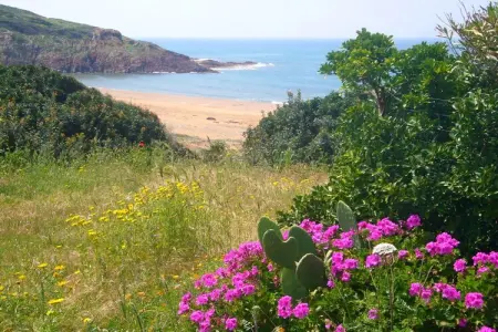 Maison Domenico en falaise à Porto Alabe, vue mer : photo 30
