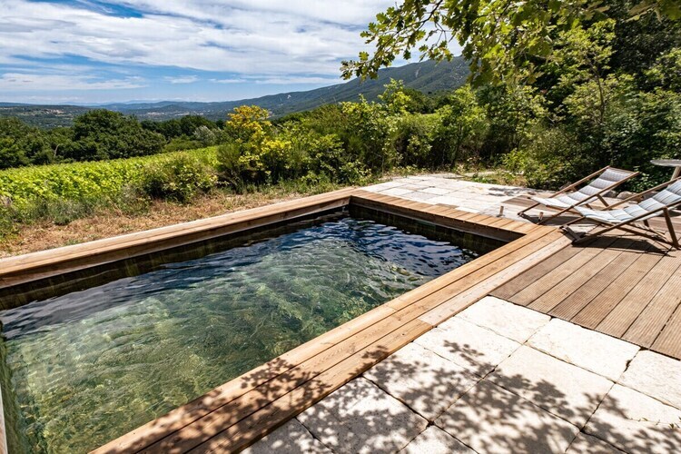 Maison avec piscine entre lavande et vignes à Saignon - Photo 4