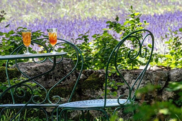 Maison avec piscine entre lavande et vignes à Saignon - Photo 7