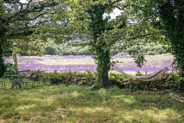 Maison avec piscine entre lavande et vignes à Saignon - Photo 16