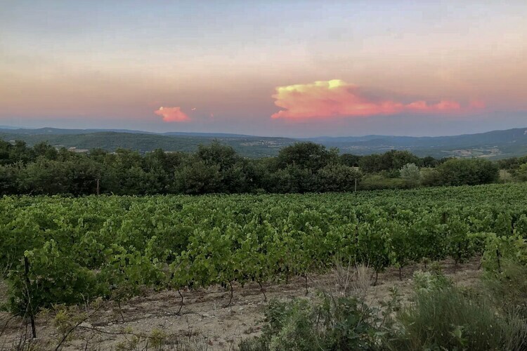 Maison avec piscine entre lavande et vignes à Saignon - Photo 29