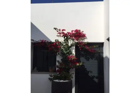444677, Casa Blanca - Maison au bord de la mer - Photo 9