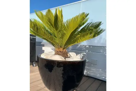 444677, Casa Blanca - Maison au bord de la mer - Photo 11