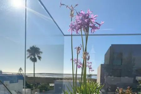 444677, Casa Blanca - Maison au bord de la mer - Photo 15