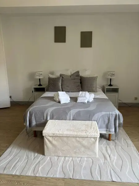 Maison avec cheminée et terrasse à Cormery, en Touraine : photo 6