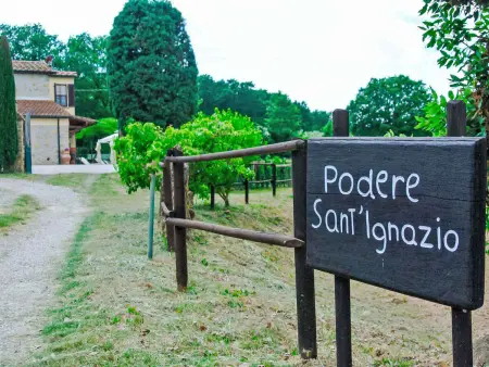 Podere Sant'Ignazio – Apt 3 chambres à Montescudaio : photo 21