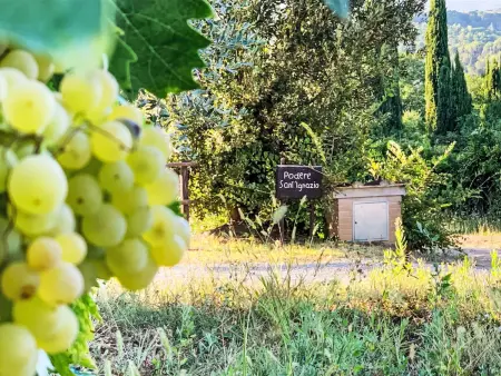 Podere Sant'Ignazio – Apt 3 chambres à Montescudaio : photo 22