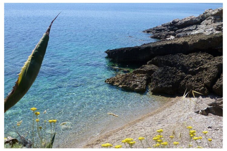 Maison Capoliveri vue mer, véranda et jardin - Photo 18