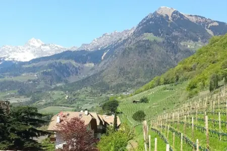 Maison indépendante avec piscine à Meran, vue montagnes : photo 2