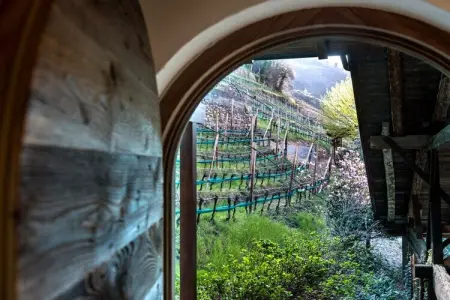 Maison indépendante avec piscine à Meran, vue montagnes : photo 6
