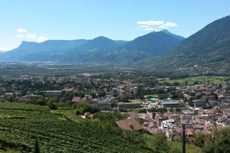 Maison indépendante avec piscine à Meran, vue montagnes : photo 16
