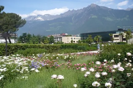 Maison indépendante avec piscine à Meran, vue montagnes : photo 18