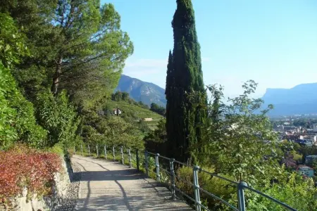 Maison indépendante avec piscine à Meran, vue montagnes : photo 19