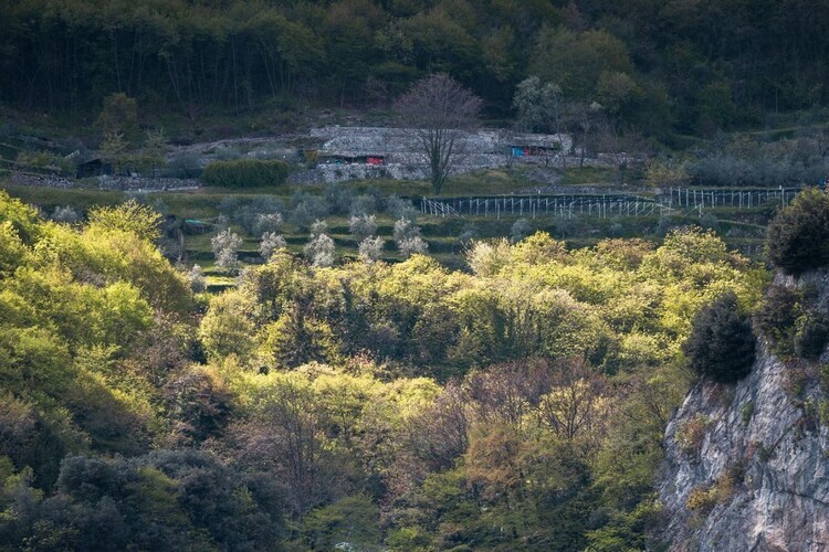 Villa Desy : maison 5 pers. avec vue lac de Garde - Photo 22