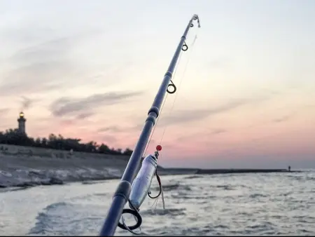 Le Nid d'Été, maison 6 pers. à 30 m de la plage : photo 15