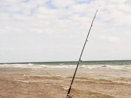 Le Nid d'Été, maison 6 pers. à 30 m de la plage : photo 18