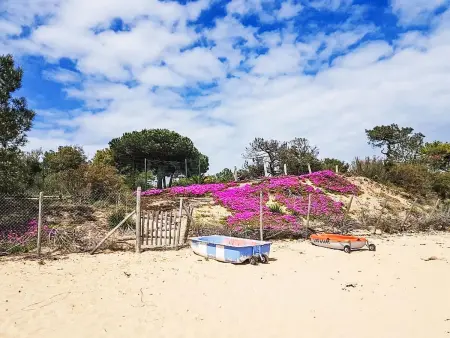 Le Nid d'Été, maison 6 pers. à 30 m de la plage : photo 24