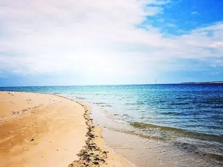 Le Nid d'Été, maison 6 pers. à 30 m de la plage : photo 28