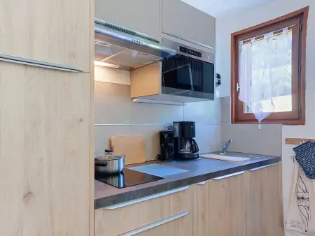 Apt Le Bochate - 29 m² vue montagne aux Bottières : photo 10