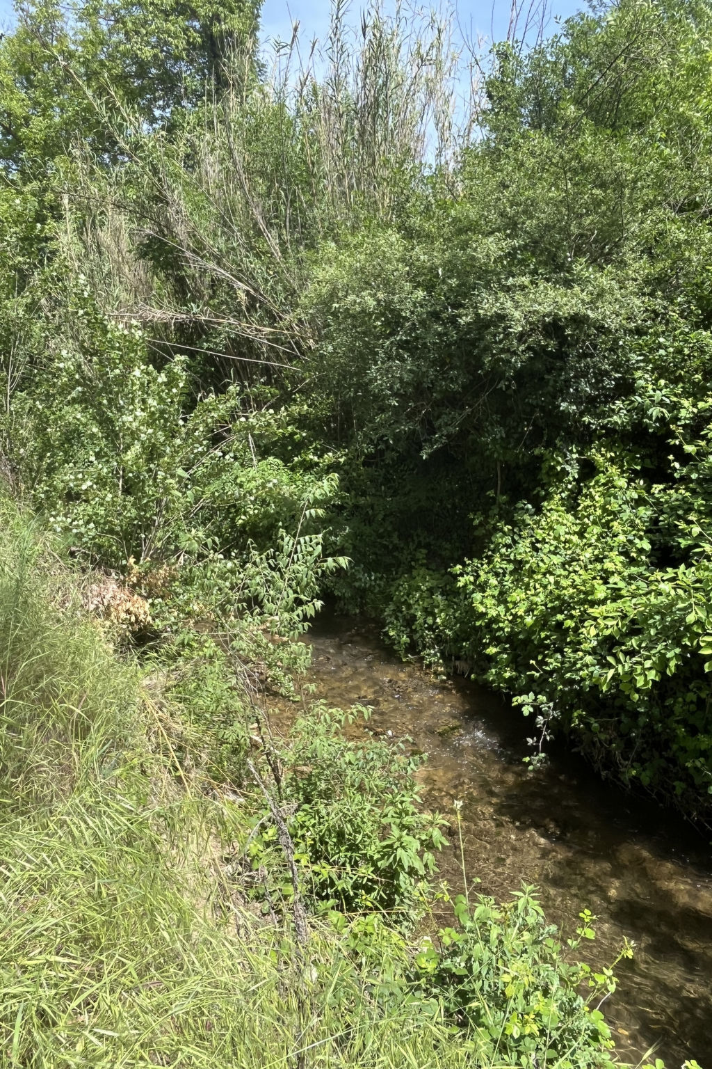 Maison Campagne la Rivière à Cotignac, vue rivière - Photo 25