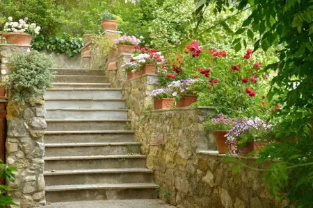 Location maison à Riparbella, Appartement de vacances avec 1 chambre