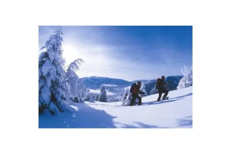Maison 6 personnes à 300 m des pistes, Feldthurns : photo 12