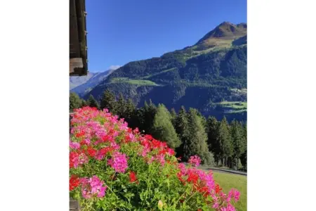 Maison 75 m² vue vallée et montagnes à Moos Passeier : photo 7