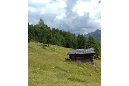 Maison 75 m² vue vallée et montagnes à Moos Passeier : photo 22