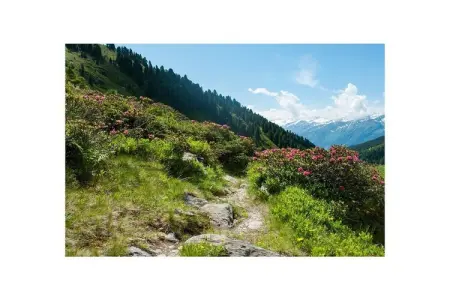 Maison 75 m² vue vallée et montagnes à Moos Passeier : photo 25