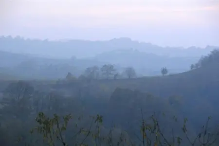 Appartement fermier à Monforte d'Alba, vue sur les Langhe : photo 15