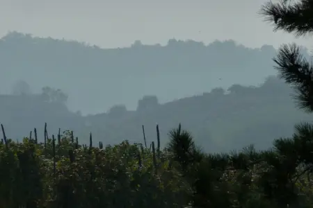 Appartement fermier à Monforte d'Alba, vue sur les Langhe : photo 16