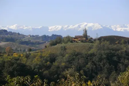 Appartement fermier à Monforte d'Alba, vue sur les Langhe : photo 17