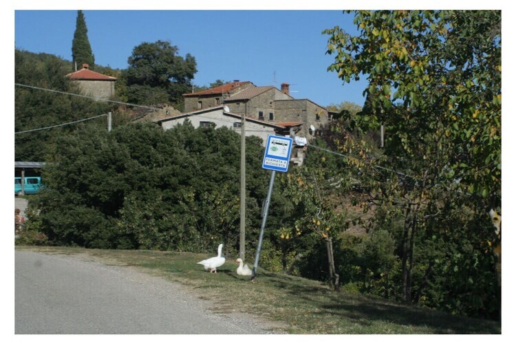 Maison 1 chambre avec piscine à Montone - Photo 7