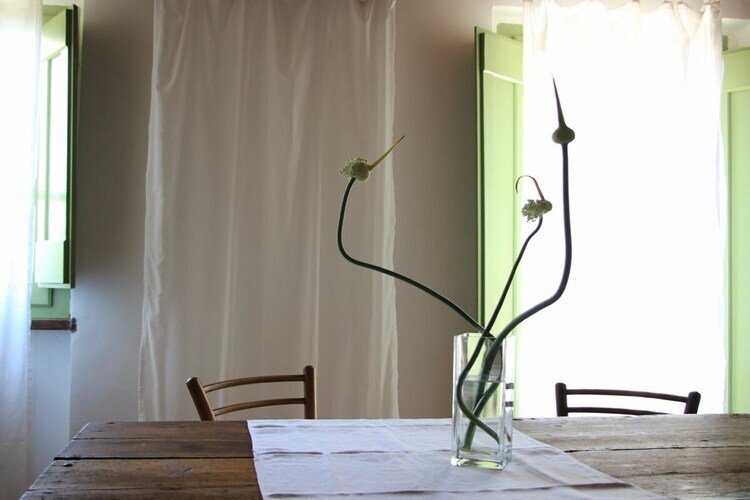 Maison 1 chambre avec piscine à Montone - Photo 20