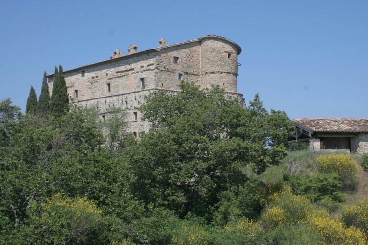 Maison 1 chambre avec piscine à Montone - Photo 24