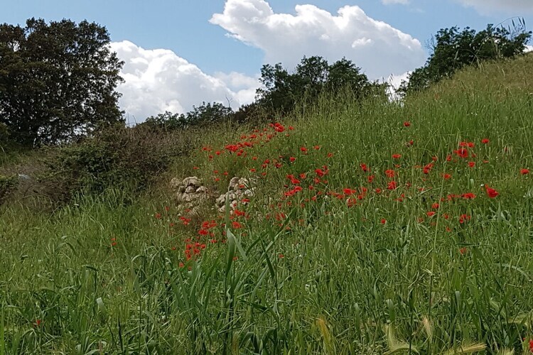 100290, Maison 6 personnes à  - Photo 11