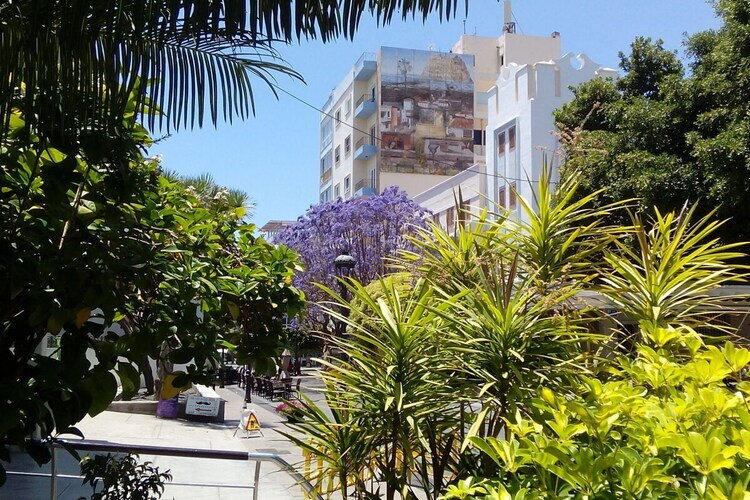 Casa Vista del Mar - Maison 4 pers. Tazacorte, vue mer - Photo 28