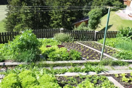255527, Maison 4 personnes à St. Martin in Thurn : photo 6