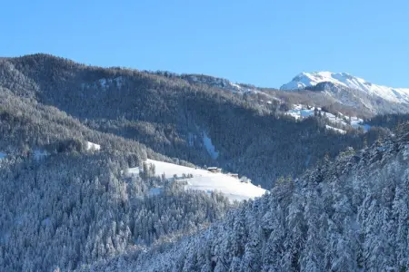 255527, Maison 4 personnes à St. Martin in Thurn : photo 17