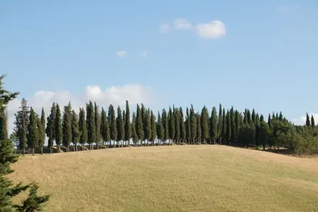 Maison Ginestra à Montaione : 360° sur les collines toscanes : photo 15